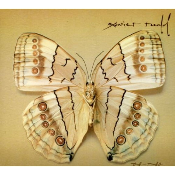 Xavier Rudd - White Moth - Music & Performance - CD