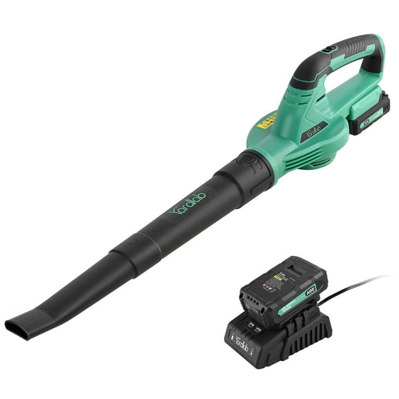 20V Cordless Leaf Blower, Electric Leaf Blower with 2.0Ah Battery and Charger for Lawn Care Dust Blowing Sweeper