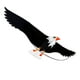 thumbnail image 2 of Cometa de águila Sunnimix 3D cometas de Animal realista fácil pájaro volador al aire libre 200x70cm, 2 of 8