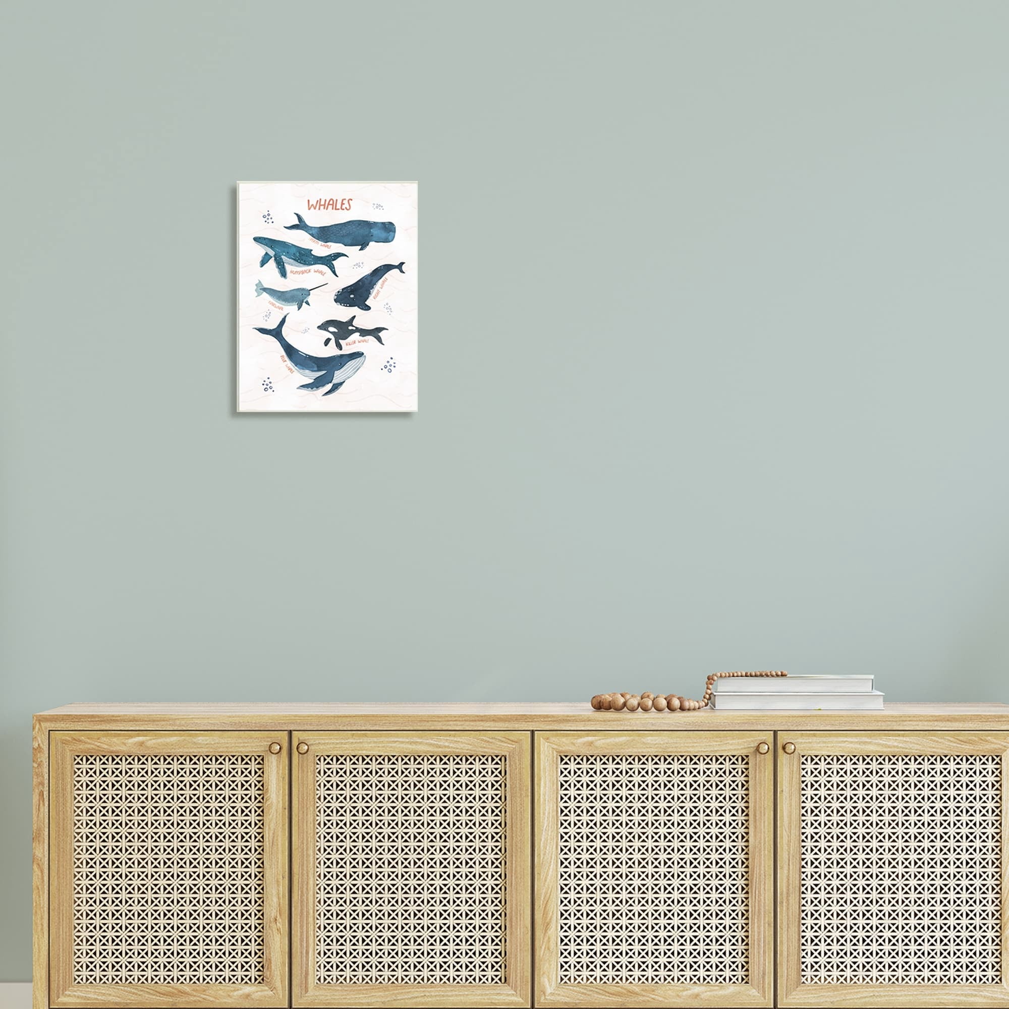Stupell Industries Nautical Diagram Whale Narwhal Types Bubbles Illustration , 13 x 19, Design by Nina Blue