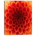 thumbnail image 2 of Pétales de Fleurs Orange - Impression sur Toile Florale, 2 of 3