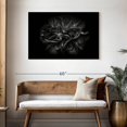 thumbnail image 3 of Elephant Stock Backyard Flowers Bw Iii Wall Art - Horizontal Canvas Wall Art - Living Room Wall Decor - Floral And Botanical Canvas - Black And Gray Decor By Brian Carson - 45" x 30", 3 of 8