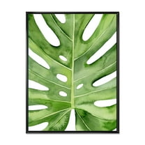 Designart 'Close Up Green Monstera Leaf Tropical Palm' Tropical Framed Canvas Wall Art Print
