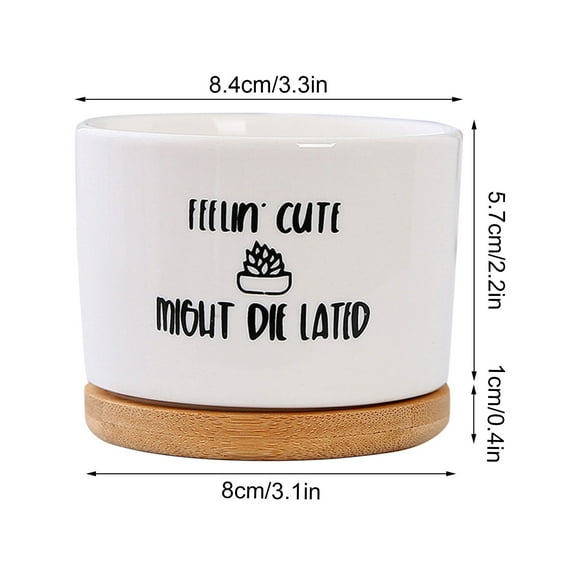 Lcxifdre Inspirational Ceramic Succulent Planter, Plant Decorative Pot Tray, Cactus Planter Pot Decor Flowerpot for Home Office Desk, Indoor Desktop Bonsai Decoration