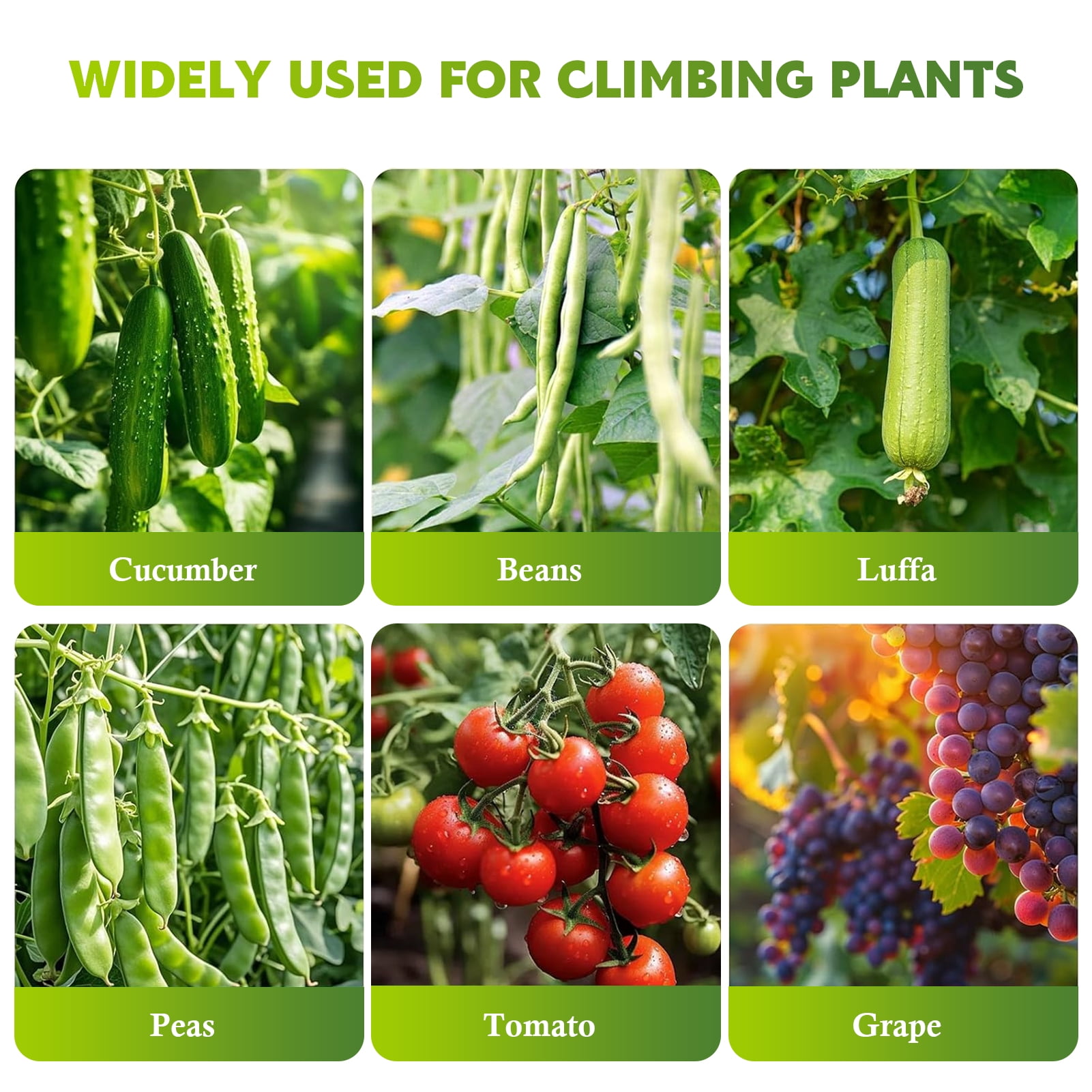 LANDLIT Cucumber Trellis for Raised Bed, 63x63x45 Inch U-Shape Garden Trellis for Climbing Plants & Vegetables | Metal Arch Vegetables Trellis, Plant Support for Grape Vine Squash Peas Flower