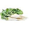 thumbnail image 2 of White Icicle Radish Seeds for Planting, 200+ Heirloom Seeds Per Packet,  Non GMO Seeds, Botanical Name: Raphanus sativus, Great Home Garden Gift, 2 of 7