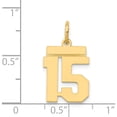 thumbnail image 5 of 14K Yellow Gold Small Polished Number 15 Charm Made In United States ls15, 5 of 6