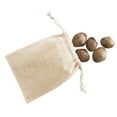 thumbnail image 2 of edxeducation edxeducation Tactile Shells - Eco-Friendly - 36 Pieces, 6 Textures, 3 Sizes - Ages 18m+, 2 of 5