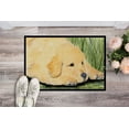 thumbnail image 2 of Carolines Treasures SS8864JMAT 24 x 36 in. Golden Retriever Doormat, 2 of 4