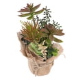thumbnail image 2 of Artificial Succulent Plant Landscape Decoration Ornament Vivid Potted Plant, 2 of 8