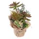 thumbnail image 3 of Planta suculenta artificial, decoración paisajística, adorno, planta en maceta vívida, 3 of 5