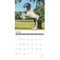 thumbnail image 3 of Gypsy Vanner Horse 2026 Wall Calendar, (Paperback), 3 of 5