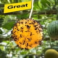 thumbnail image 5 of Fruit Fly Sticky Ball Trap, Hanging Fly Sticky Ball Fly Trap Outdoor, Flying Insects Ball for Indoor Outdoor House Kitchen, Plants Trees Flying Insects Trap (3inch&10pcs), 5 of 6