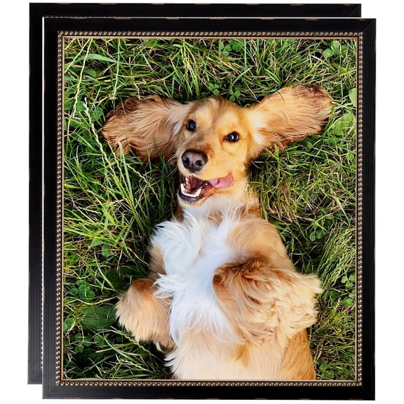 ArtToFrames 22" x 28" Black Square with Gold Beads Picture Frame, 22x28 inch Black Wood Poster Frame (WOM-5021), 2 Pack