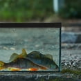 thumbnail image 1 of Raindrops 1Set Aquarium Top Edge Protector for Fish Tank 45.00X45.00X2.50in, 1 of 8