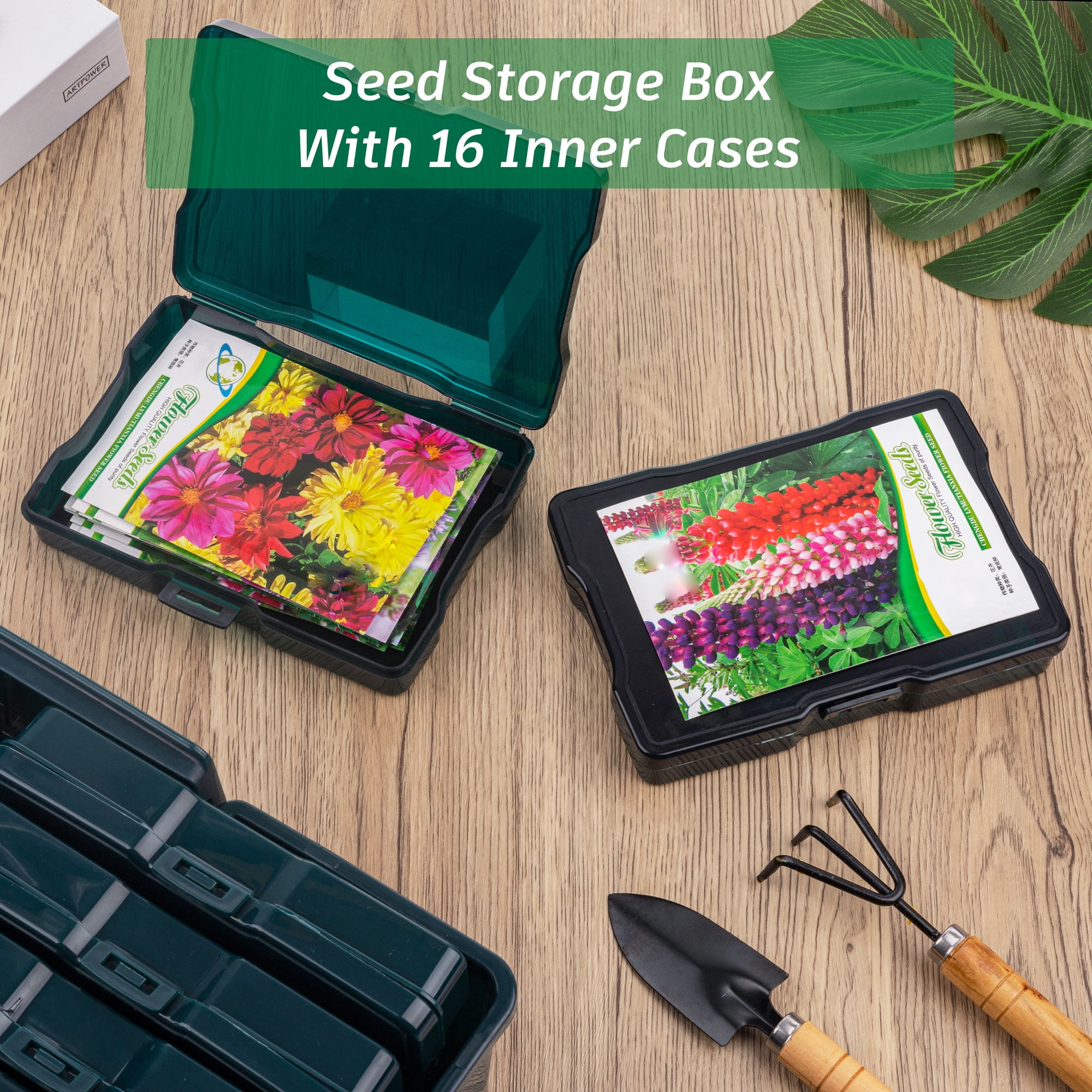 WRVCSS  Dark Green Seed Storage Box With 16 pcs 4" x 6" cases,Seed Organizer,Photo Storage Box For pictures