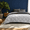 Light Gray/Dark Gray-Twin / Twin XL, variant on Black/Gray King / California King Cloud-Soft Down Alternative Reversible Quilted All Season Comforter