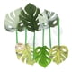thumbnail image 3 of 6 almohadillas de hojas para peces Betta: mejora la salud de los peces Betta, hábitat natural, zona de descanso, lecho de plantas Monstera, adorno para acuario., 3 of 6
