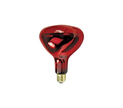 Feit Electric 250W R40 Red Heat Lamp Bulb - Brass Base For Heat & Reptile Lighting