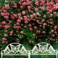 thumbnail image 4 of SHENGXINY Plastic Garden Fence Clearance 4pcs Plastic Edgings Garden Picket Fence - Grass Flowerbeds Plant Borders - Decorative Scenery Road Panels - Weather Proof Plastic Garden Fence White, 4 of 6