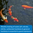 thumbnail image 3 of Mars Fishcare AQP164F PondCare PondCare 5 In 1 Test Strips, 3 of 5