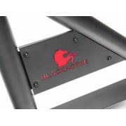 Black Horse CLASSIC Roll Bar Black Compatible with 19-24 Ram 1500 Excludes CLASSIC models-RB002BK