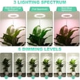 thumbnail image 4 of 10" Grow Light for Indoor Plants, Full Spectrum Plant Lamp with160 LEDs, 4H/8H/12H Timer, 10 Dimmable Levels, 3 Spectrum Modes, Height Adjustable 61", Ideal for Growing Large Tall Plants, 4 of 7