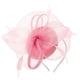 thumbnail image 1 of Tocado con pinza para el pelo, diadema de malla con plumas, para cóctel, fiesta de té, boda, 1 of 7