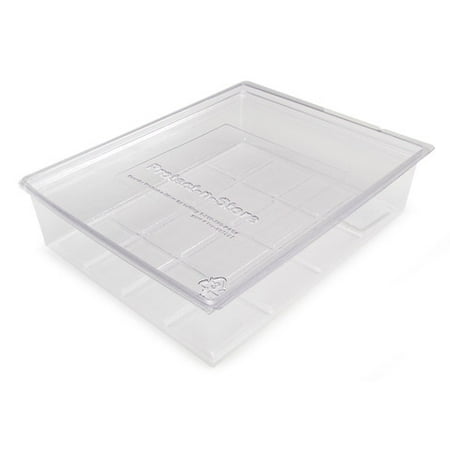 Protect N Store Box Clear 8.5X11 Acid Free