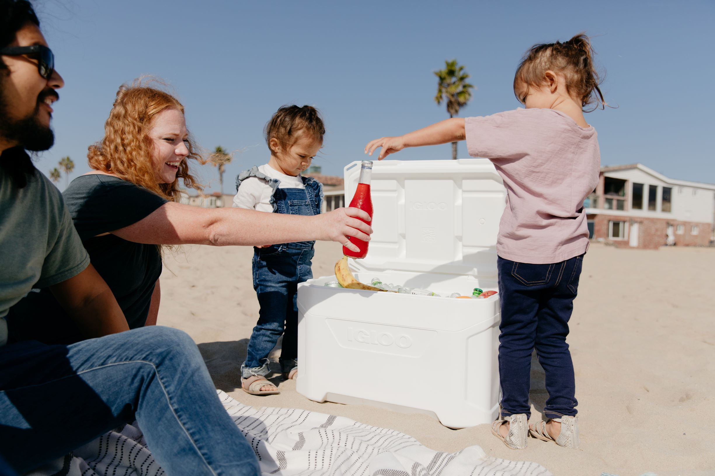 Igloo 50 QT Profile II Ice Chest Cooler, White
