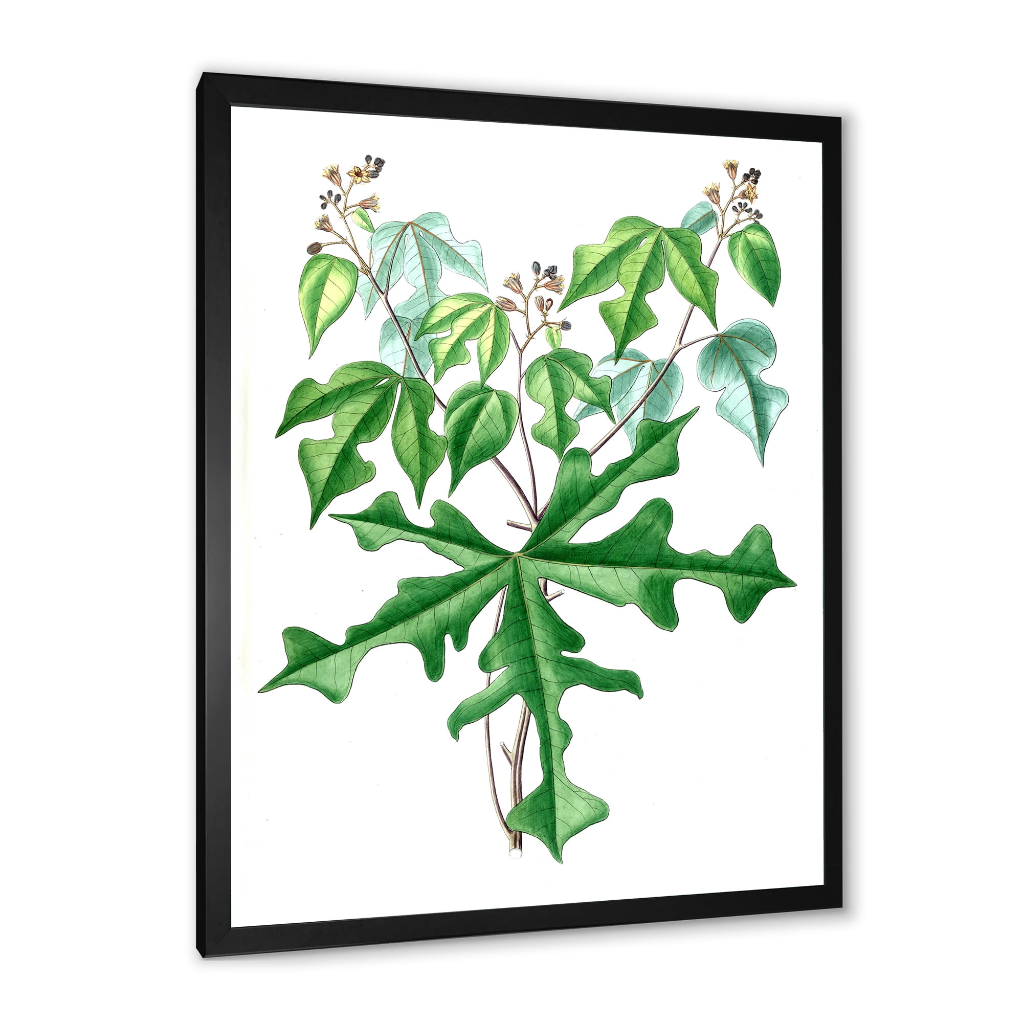 Designart 'Ancient Drawing of Wild Plants' Traditional Framed Art Print