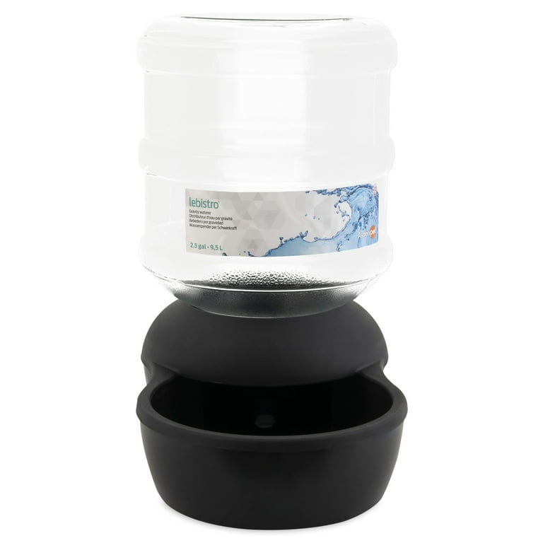 Microban water bowl hot sale