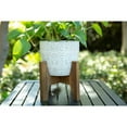 thumbnail image 5 of Set of 2 10" & 8" Cathedral Ceramic Planter, 5 of 5