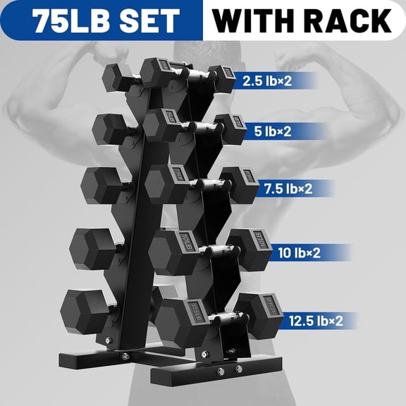 75 lb Dumbbell Set with Rack, Rubber Encased Hex Free Weights for Home Gym Strength Training