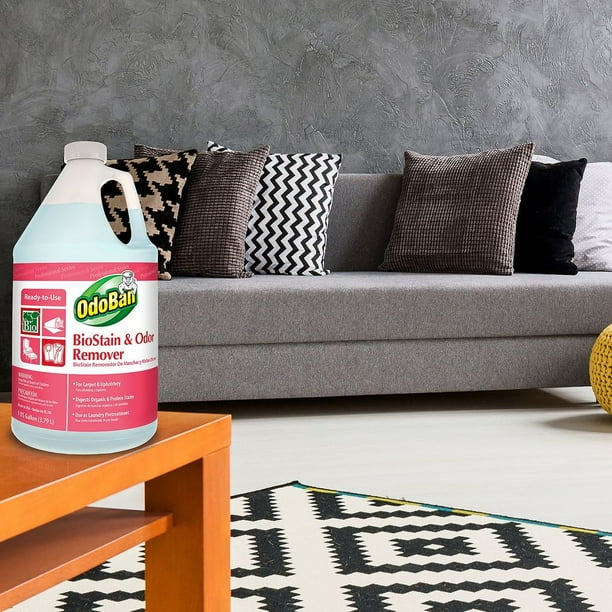OdoBan BioStain and Odor Remover (1 gal.)