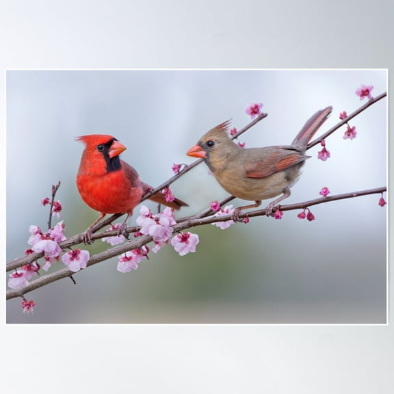 Cardinals On Blossoming Branches Poster Wall Art, Modern Wall Decor For Living Room Bedroom, 8x12 UNFRAMED