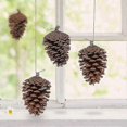thumbnail image 3 of 11-12cm 6pcs Natural Pine Cones, Large Pinecone,Natural Pinecone Ornaments Big Pinecones for Autumn and Winter Decor, 3 of 5