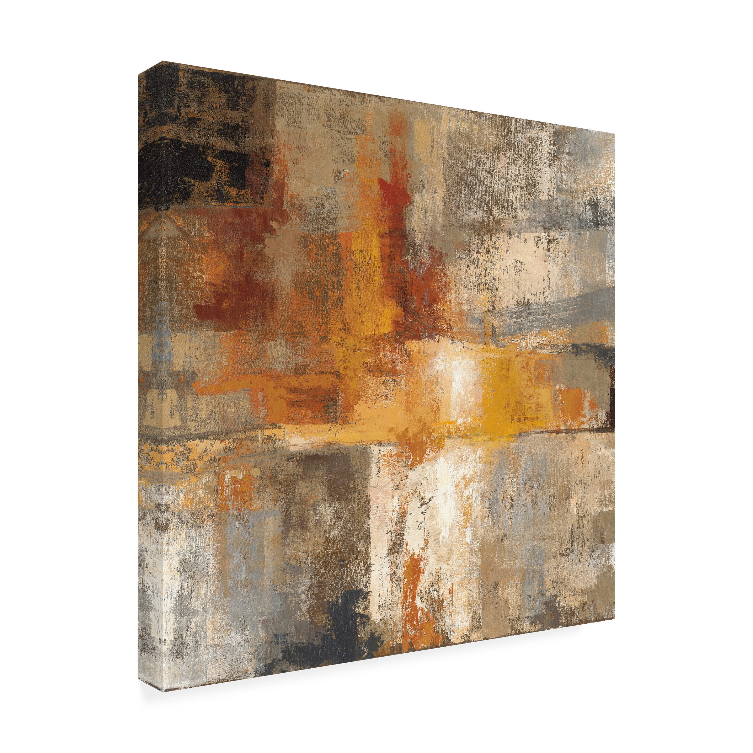Silvia Vassileva 'Silver And Amber Crop' Canvas Art