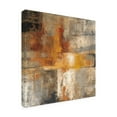 thumbnail image 4 of Silvia Vassileva 'Silver And Amber Crop' Canvas Art, 4 of 4