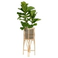 thumbnail image 3 of Kouboo Rattan Indoor Plant Stand, Rattan Modern Plant Stands for Living Room Balcony and Garden, Medium, Natural, 3 of 5