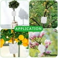 thumbnail image 3 of Gazaar 10Pcs Plant Root Growing Box,Plant Rooting Grow Propagation Ball,High Pressure Propagation Ball,Grafting Rooting Ball for Plants, 3 of 5