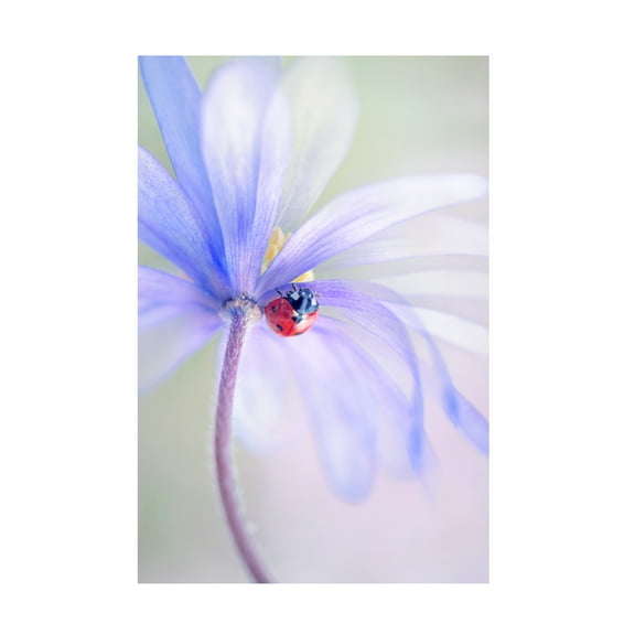 Jacky Parker 'Spring Lady' Canvas Art