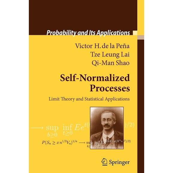 Probability and Its Applications Self-Normalized Processes: Limit Theory and Statistical Applications, (Paperback)