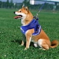 thumbnail image 2 of Los nuevos arneses para perros 1 Uds., 2 of 3