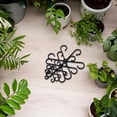thumbnail image 4 of 4 soportes de plástico para plantas trepadoras de interior, estacas reutilizables para flores, enrejados, ganchos para plantas, accesorios de crecimiento, 4 of 7