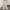 Beige, variant on Black Sweatpants Juniors Teen Girls Clearance Joggers Elastic Waist Joggers Casual Ladies Straight Leg Sweat Pants Sweatpants Workout Comfortable