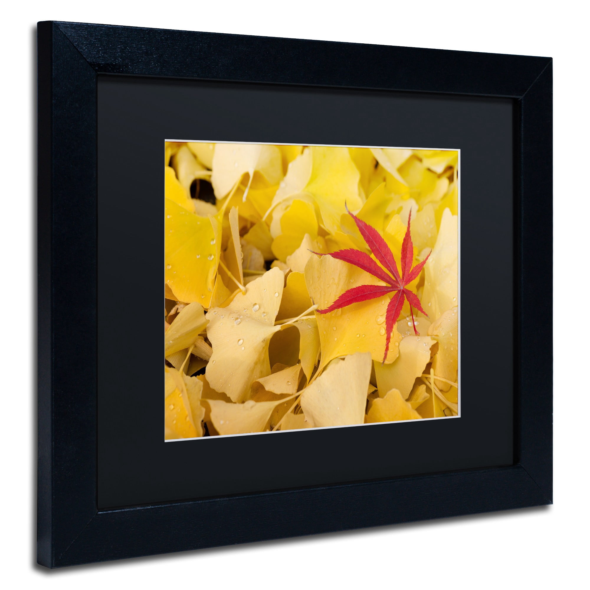Trademark Fine Art "The Intruder" Canvas Art by Philippe Sainte-Laudy Black Matte, Black Frame