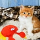thumbnail image 2 of GOOHOCHY Juguete interactivo para gatos, juguete chillón para gatos, juguete interactivo para gatos, juguetes para gatos con forma de cangrejo de peluche, suministros para mascotas, 2 of 7