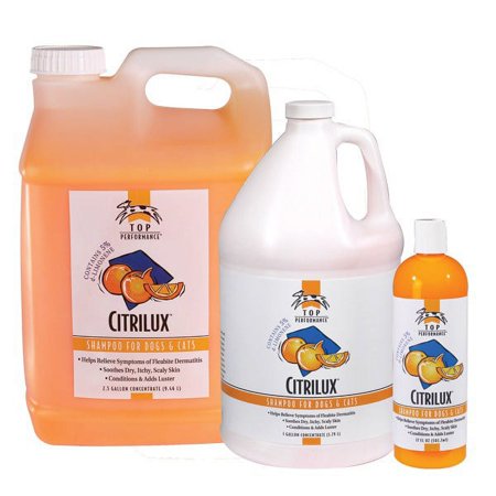 UPC: 0721343920182 | Top Performance TP Citrilux Shampoo Gal