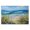 Coastal Wildflower Seascape Meadow, variant on Stupell Industries Sunlit Meadow of Colorful Blooms Black Framed Floater Canvas Wall Art, design by Creative Studio